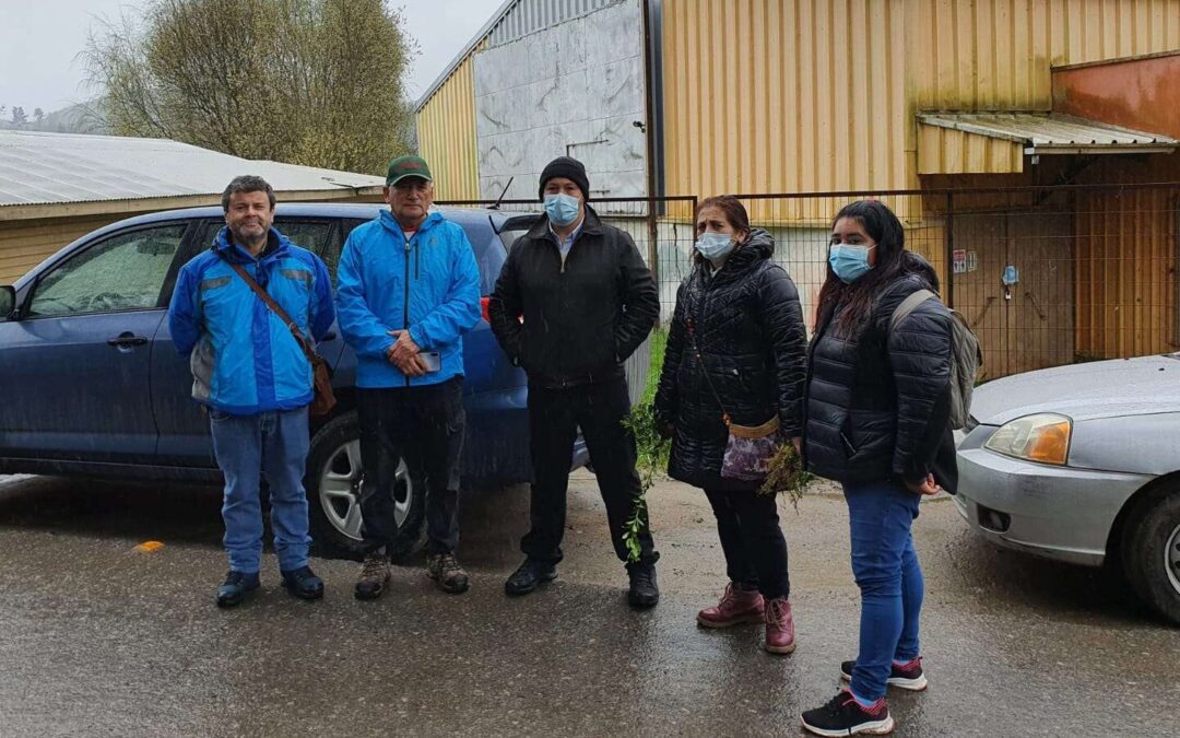 Visita inspectiva en sector caserío Chaimavida