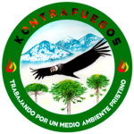Kontrafuegos