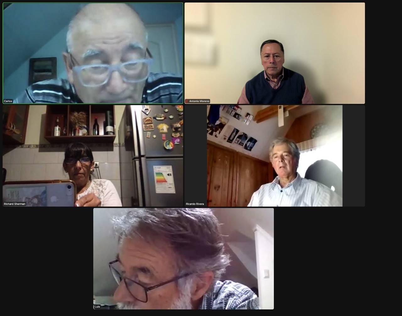 Reunión Zoom, avances de trabajos